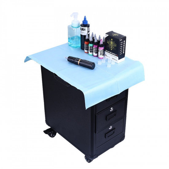 Rolling Travel Case with Armrest